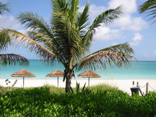 Vue de la plage depuis la terrasse de l'hôtel