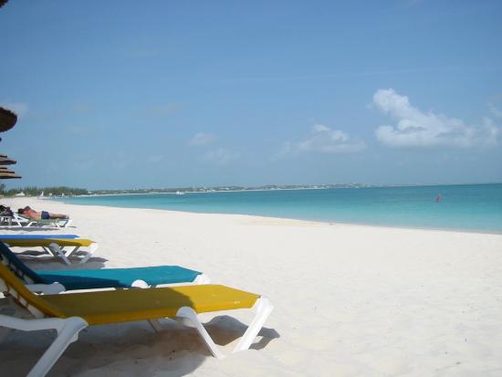 La plage et les chaises longues de l'hôtel