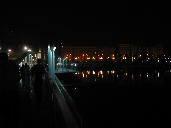 Bridge and water close to both the disco and my home