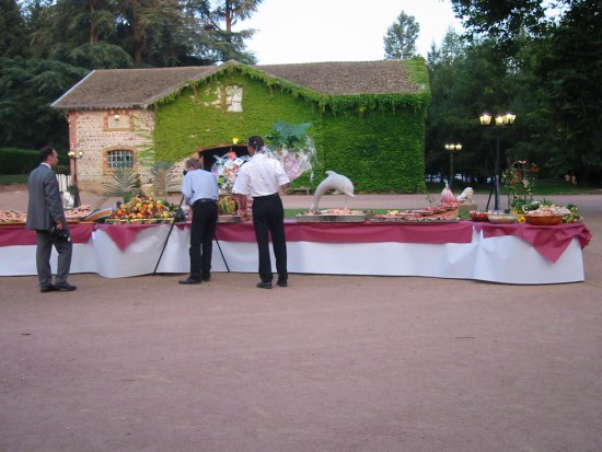 The buffet outside, where you can see a dolphin and a princess