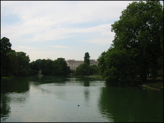 Walking through St James park just next to Buckingham palace