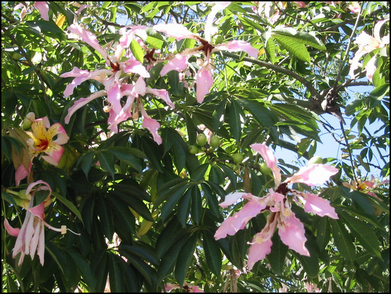 Una flor