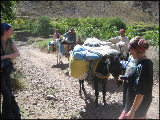 Les mules qui nous suivaient avec nos sacs