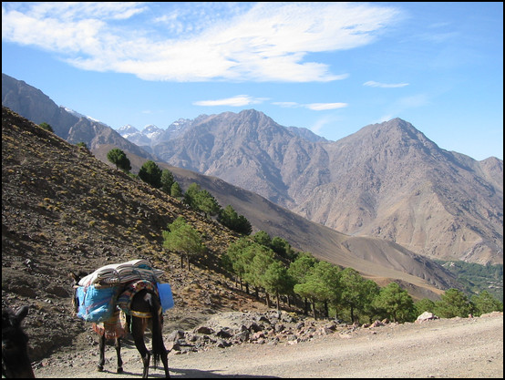 Retour dans la vallée où se trouve la Kasbah